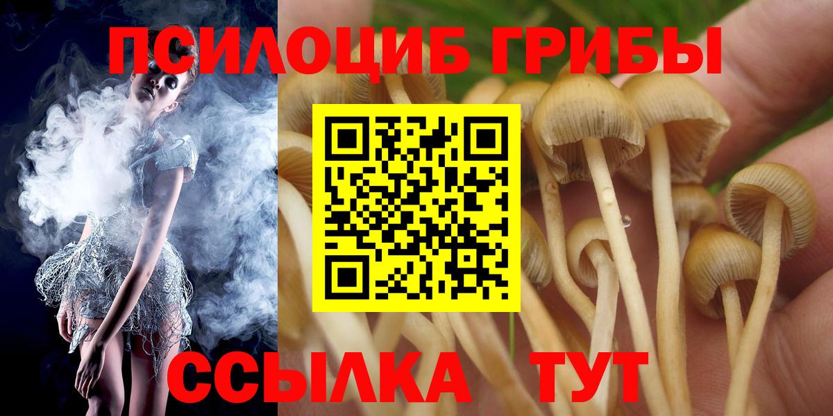 Галлюциногенные грибы GOLDEN TEACHER  Вход с VPN  где найти   Галлюциногенные грибы GOLDEN TEACHER  Мичуринск 