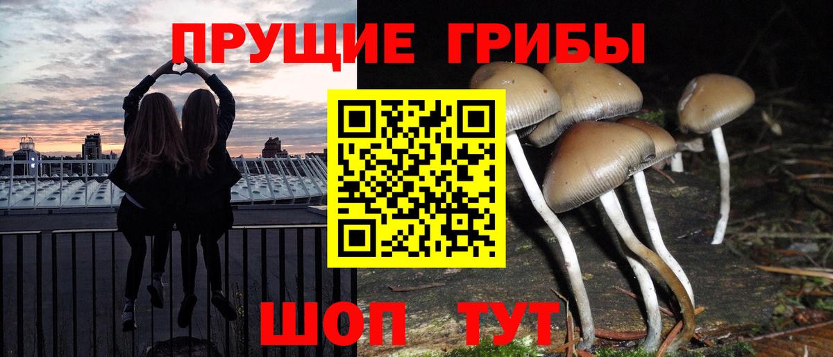 Псилоцибиновые грибы MAGIC MUSHROOMS Мичуринск